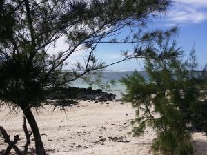 貝爾馬爾的住宿－金棒別墅酒店，一片树木繁茂的海滩,一片大海