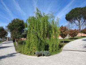 Alloggio Turistico Confortevole Passo Corese外面的花园