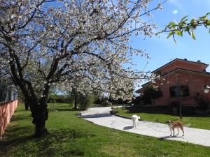 Alloggio Turistico Confortevole Passo Corese外面的花园