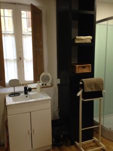 a small kitchen with a sink and a shelf at Studio Spacieux Cœur Historique in Saint-Rémy-de-Provence