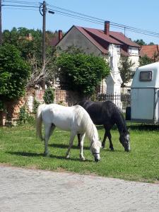 Fotografie z fotogalerie ubytování Axtburg Apartments v destinaci Bérbaltavár