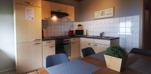 Kuchyň nebo kuchyňský kout v ubytování Gästehaus Behabühl