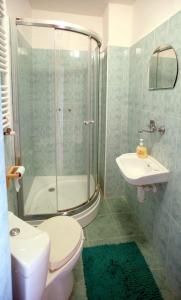 a bathroom with a toilet and a shower and a sink at Penzión Ľadová in Stratená +27 photos