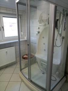 a bathroom with a shower with a toilet in it at Wohnung Neunkirchen 3 in Neunkirchen am Brand