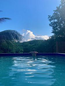 un hombre está parado en una piscina en Tha Lagoon Spots CooL VyBz en Port Antonio