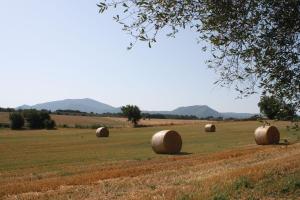 Afbeelding uit fotogalerij van Ippocastano B&B in Viterbo