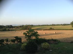 Afbeelding uit fotogalerij van Ippocastano B&B in Viterbo
