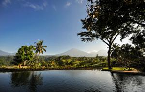 Gallery image of Ijen Resort and Villas - The Hidden Paradise in Banyuwangi