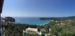 Gallery image of Studios Nikolaou Bros in Parga