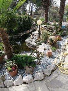 a garden with a pond and some plants and rocks at LA CARLOTTINA in Codevigo