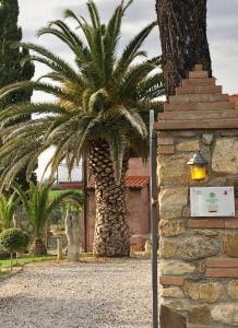 una palmera frente a un edificio en Tenuta De Fanti Agriturismo en Bibbona