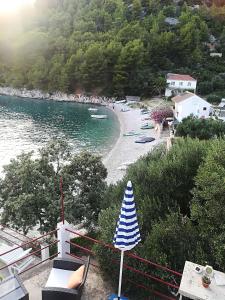 Gallery image of Holiday house Stela in Gdinj