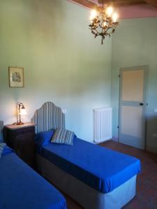 卡斯蒂利翁切洛Agriturismo Podere Gianmaria的相册照片