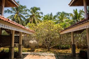 une cour avec des palmiers en arrière-plan dans l'établissement Villa Araliya, à Negombo