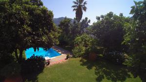 een zwembad in het midden van een tuin met bomen bij Casa Das Obras in Manteigas