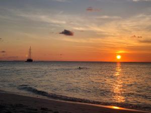 Fotografie z fotogalerie ubytování White Sand Dhigurah v destinaci Dhigurah