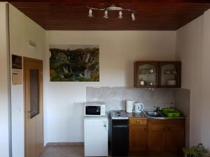 a kitchen with a black and white refrigerator and a sink at Guest House Borić in Grabovac