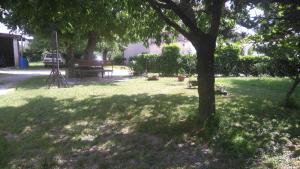 a park with a tree and a bench in the grass at Apartman Dino in Roč
