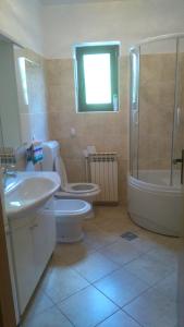 a bathroom with a toilet and a sink and a shower at Apartman Dino in Roč