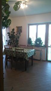 a dining room with a table and chairs and a plant at Apartman Dino in Roč