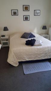 布魯日的住宿－阿多尼斯旅館，一间卧室设有一张大床和两个床头柜
