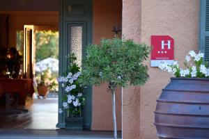 a vase with flowers in front of a building at Hôtel Les Lentisques in Cargèse +109 photos