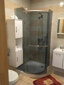 a shower with a glass door in a bathroom at Balaton Panzió in Balatonberény