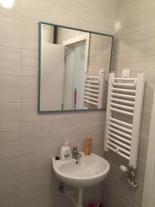 uma casa de banho com um lavatório e um espelho em Stan na dan CENTAR em Šabac