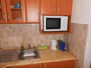 a kitchen counter with a sink and a microwave at Studio apartman Tatran A-29 in Donovaly