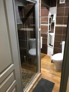 een badkamer met een toilet en een glazen deur bij le zola in Figeac