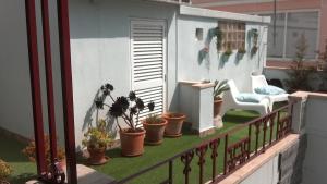 a balcony with potted plants on a fence at Casa Azul Hostel in Sintra
