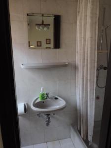 a bathroom with a sink and a mirror and a shower at Füvesi Vendégház in Balatonfüred
