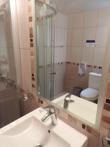 a bathroom with a sink and a mirror and a toilet at Hill View Hotel Apartments in Pissouri