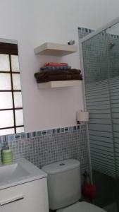 ラスパルマス・デ・グランカナリアにあるApartamento En El Old Town Trianaのバスルーム(トイレ、洗面台、シャワー付)
