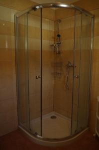 una doccia con porta in vetro in bagno di U Klárinky a Poštorná