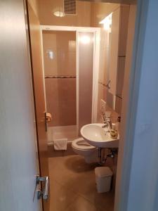a bathroom with a toilet and a sink at Guesthouse Marina in Tučepi