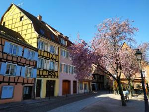 Gallery image of La Fabiola in Colmar