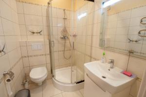a bathroom with a toilet and a sink and a shower at Wonderful flat on city center (Mukachivska 4/17) in Uzhhorod