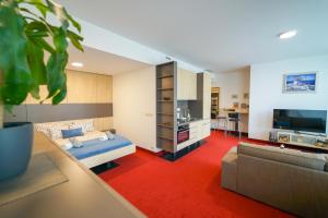 Televízia a/alebo spoločenská miestnosť v ubytovaní Zora Exclusive Apartment