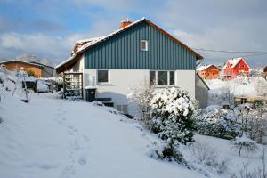 a house with a green roof in the snow at Ferienwohnung Klötsch in Katzwinkel