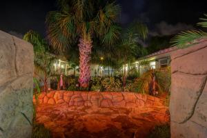 een palmboom voor een huis 's nachts bij Richard's Pet Friendly Motel in Hollywood