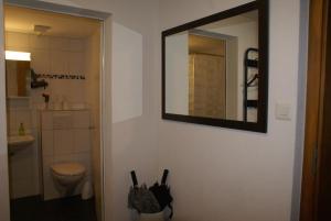 ein Badezimmer mit Toilette und einem Spiegel an der Wand in der Unterkunft Matten Central Studio in Matten