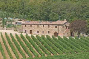 ein großes Steingebäude und ein Haufen Reben in der Unterkunft Locanda La Casina Di Lilliano in Castellina in Chianti