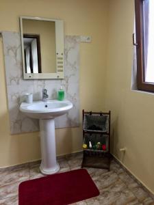 La salle de bains est pourvue d'un lavabo et d'un miroir. dans l'établissement Garden House, à Kvareli