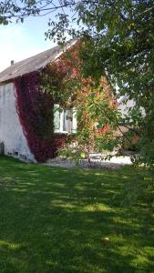 Zahrada ubytování Gîte Le Campagnard