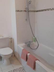 een badkamer met een toilet en een bad met 2 handdoeken bij Le Carré des fleurs in Straatsburg