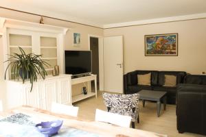 a living room with a couch and a tv at Siddy Apartment in Reykjav&iacute;k