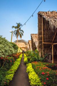 Tiki Hut Hostel外面的花园