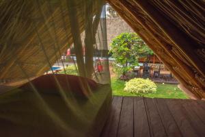 Tiki Hut Hostel外面的花园