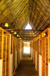 帕洛米诺Tiki Hut Hostel的相册照片
